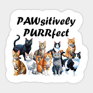 Pawsitively Purrfect -  funny watercolour cat design, black cat, ginger cat, tabby, bengal, gray cat, lots of cats Sticker